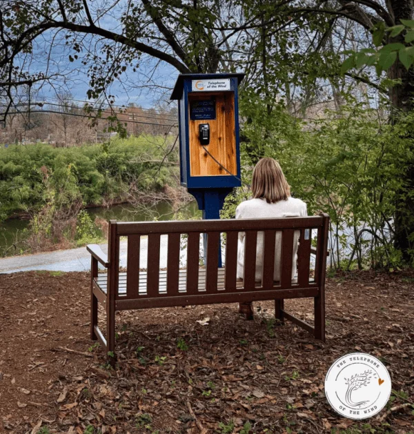 The-Telephone-of-The-Wind Charlottesville, VA